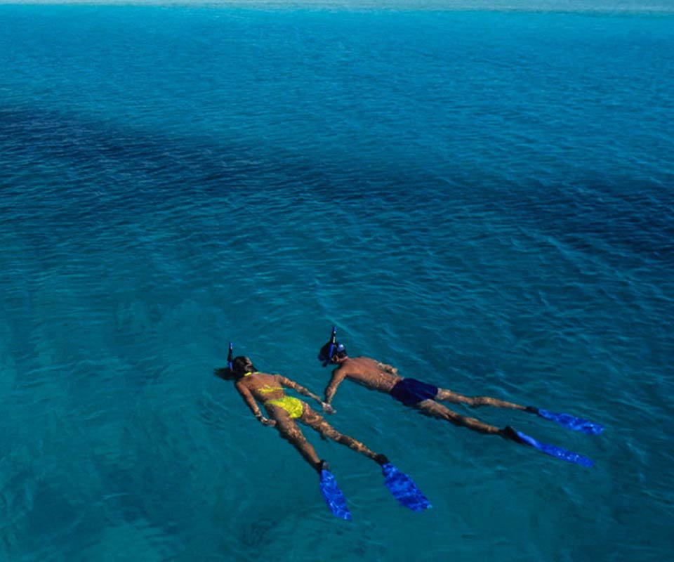 Aerial view of couple snorkeling in clear water