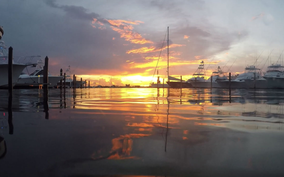 Sunset Catamaran Cruise Palm Beach Island Get Wet Watersports